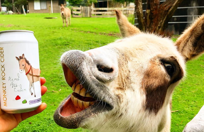 Turicum Chalets AT Monkey Rock Winery - Photo 34