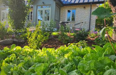 Oliwkowy Ganek - Foto 5