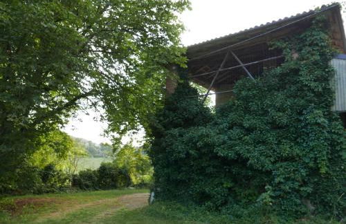 Cascina Tornara, ritorno alle origini monferrine - Foto 32