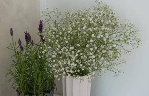 Apartment Coral - Foto 31