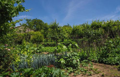 Casa de Pereiró - Foto 33