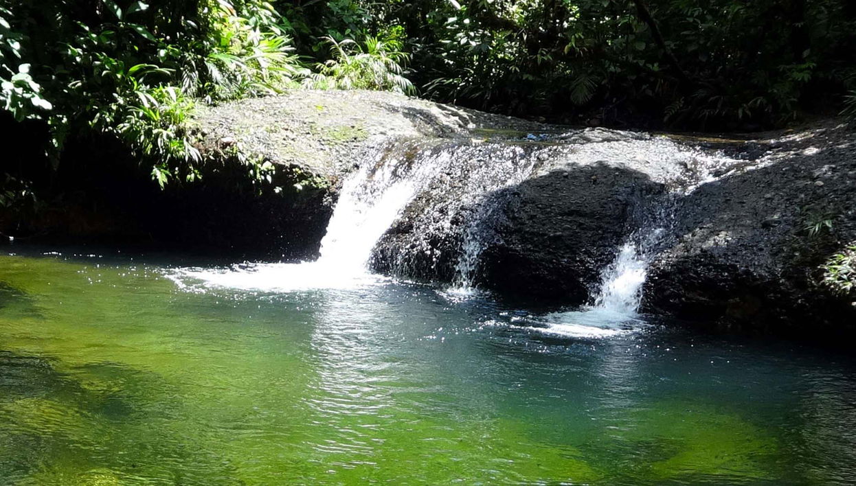 San Cipriano Nature Reserve Day Trip - Foto 1