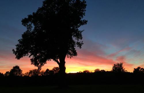 The Loft Midhurst - Foto 28