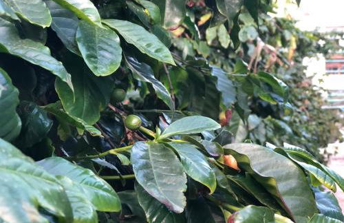 Casa Camino Tamadaba II (bottom home) - Foto 62