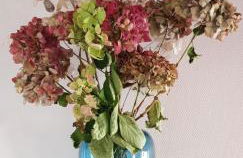 Le gîte de la Vieille Eglise de Coussergues - Photo 34