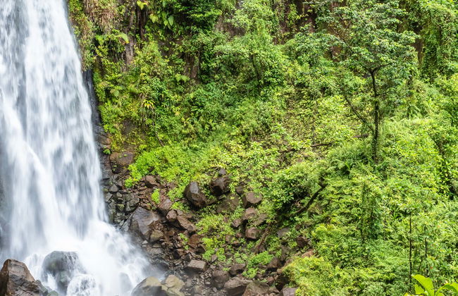 Piscina Esmeralda e Cascatas de Trafalgar para cruzeiros - Foto 2
