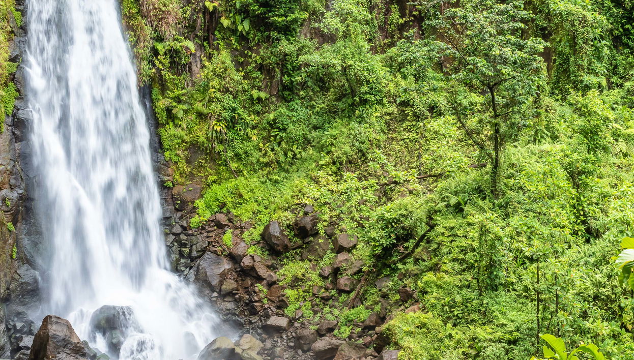 Piscina Esmeralda e Cascatas de Trafalgar para cruzeiros