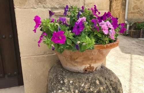 La Casa de Alberto - Foto 14