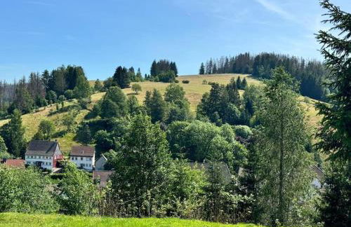 Zimmermanns Zuhause in Altenau - Foto 23