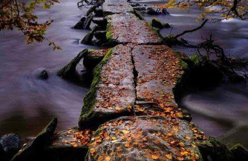 Winstitchen Cottage situated near the River Barle - Foto 60