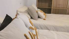 Dormirse en los laureles - Foto 2