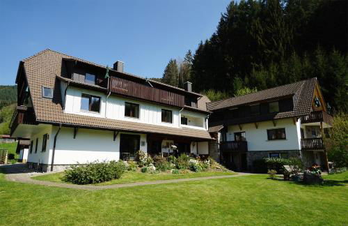 Höllkopf - Stubenhof, Black Forest - Foto 12