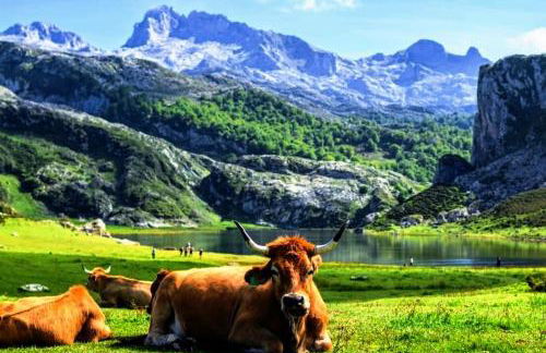 El Cuadro de Llanes - Photo 20