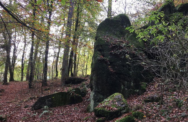 Cozy Apartment in Ellar With Garden - Foto 34