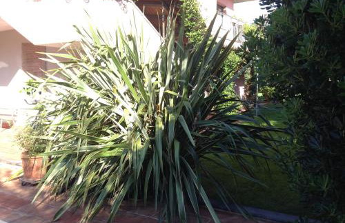 Villa Giovanna - Photo 73