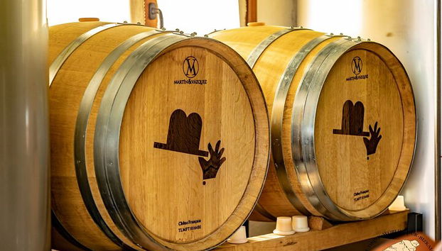 Visita privada al viñedo vasco : Cata de vinos Txakoli desde Bilbao - Foto 2