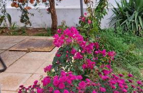 Anna's house 2 - Photo 38