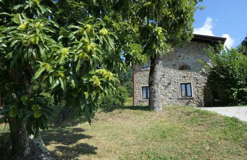 Agriturismo Braccicorti - Foto 70