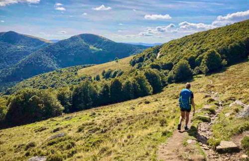 Maisonnette Alsacienne cosy - Foto 33