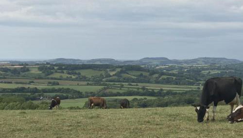 Novelist Shepherd's hut - Foto 4