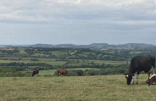 Novelist Shepherd's hut - Foto 4