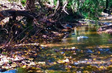 Alojamiento La Fuente - Foto 33