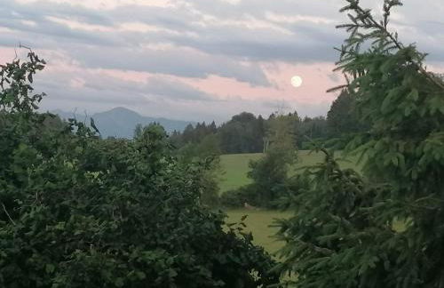 Ferienwohnung Bauer - Foto 13