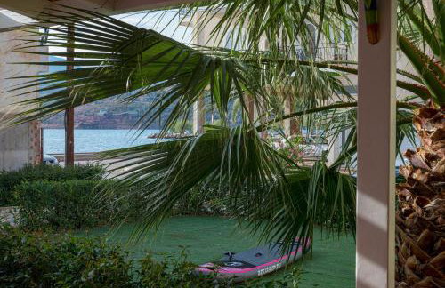 Coconut Blue - Photo 49