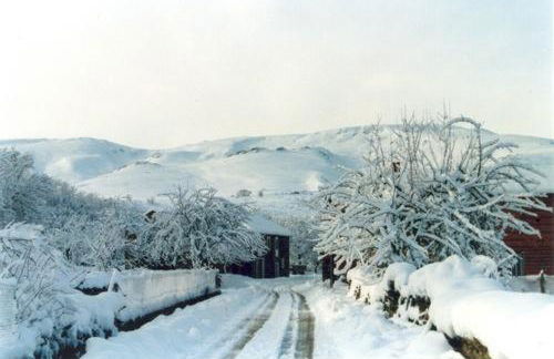 La casa de Rosa - Foto 64