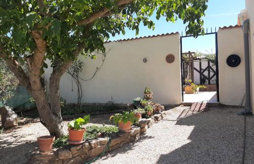 Cortijo Ramonsillos - Photo 26