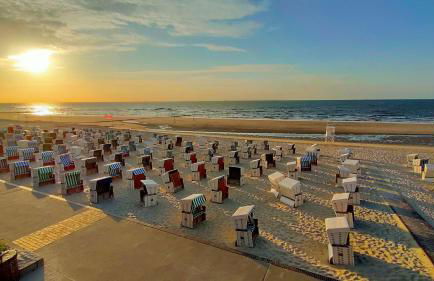 Hund im Glück - Foto 15