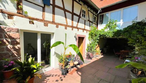 Schlafgut-Freytag Ferienhaus Pfälzer Bu - Foto 2