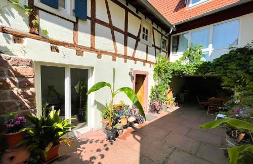 Schlafgut-Freytag Ferienhaus Pfälzer Bu - Foto 2