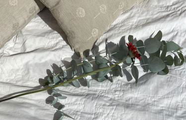 Casa do Xisto - Foto 43