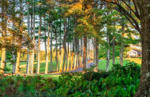 The Howell House - Picturesque Countryside Retreat - Foto 62