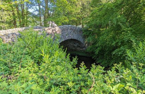 The Ardennes 66 - Foto 13