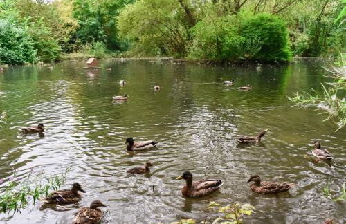 Forge House - Foto 28