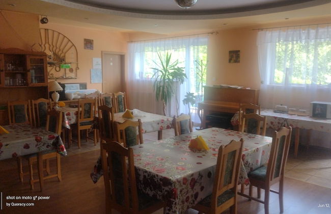 Agroletnica Country house - Foto 46