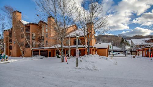 Pico Mountain Condo C-307 - 1 BR, 1BA Steps to Pico Ski Slopes, Bus to Killington - Foto 2