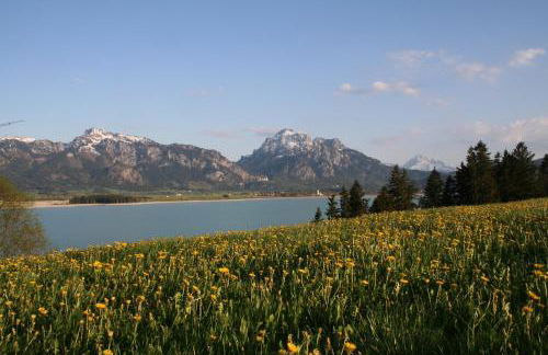 Salenberghof Ferienwohnung Traumblick - Foto 12