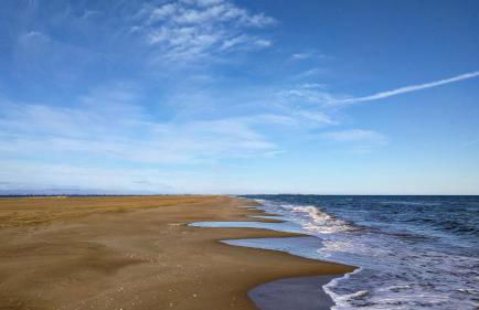 Ca Na Vinyet - Foto 1