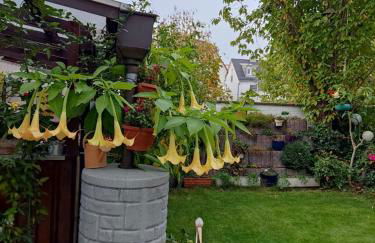 Schöne 3 Zi. Ferienwohnung vor den Toren Frankfurt - Photo 36
