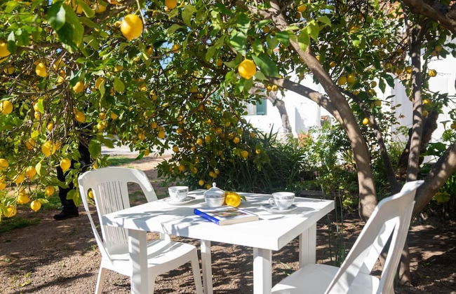 Appartamento Melograno - Foto 1