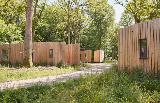 Chic Cabin in the Woods - Photo 1