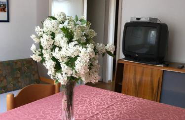 Apartments Marina - Foto 15