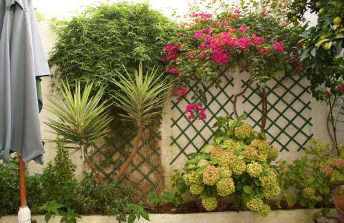 Pátio da Laranjeira - Foto 6