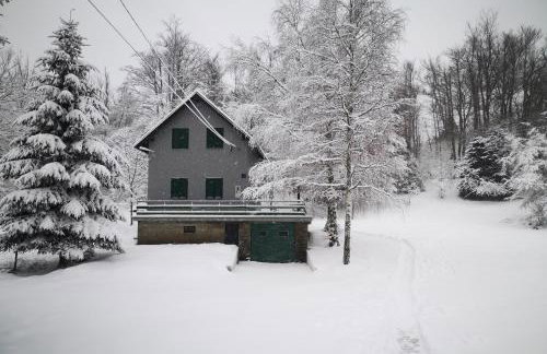 Holiday house with a parking space Fuzine, Gorski kotar - 20518 - Foto 1