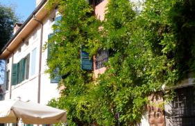 Agriturismo Corte Pellegrini - Foto 27