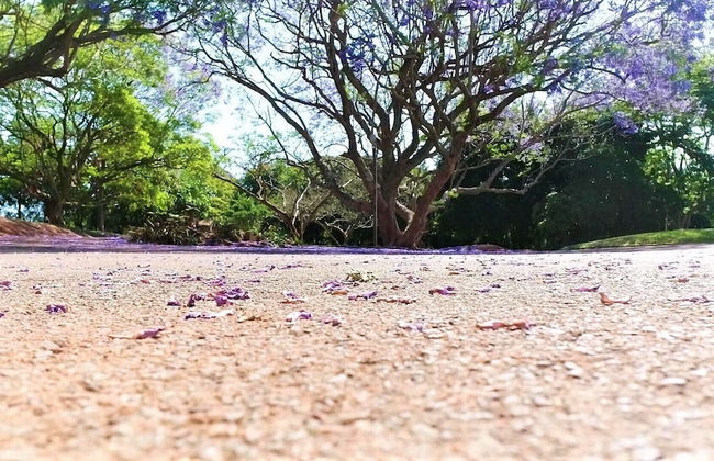 Crest Farm - Self-catering 2-bedroom, Wi-fi, Views, Swiming Pool - Foto 28