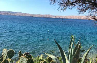 House Petra on the beach-sea - Foto 56